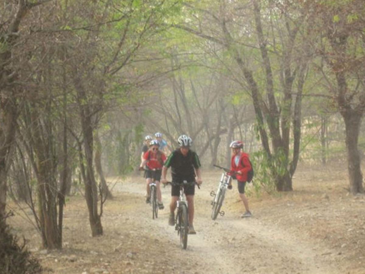 Corbett Treat Resort Ramnagar (Uttarakhand) Exterior foto