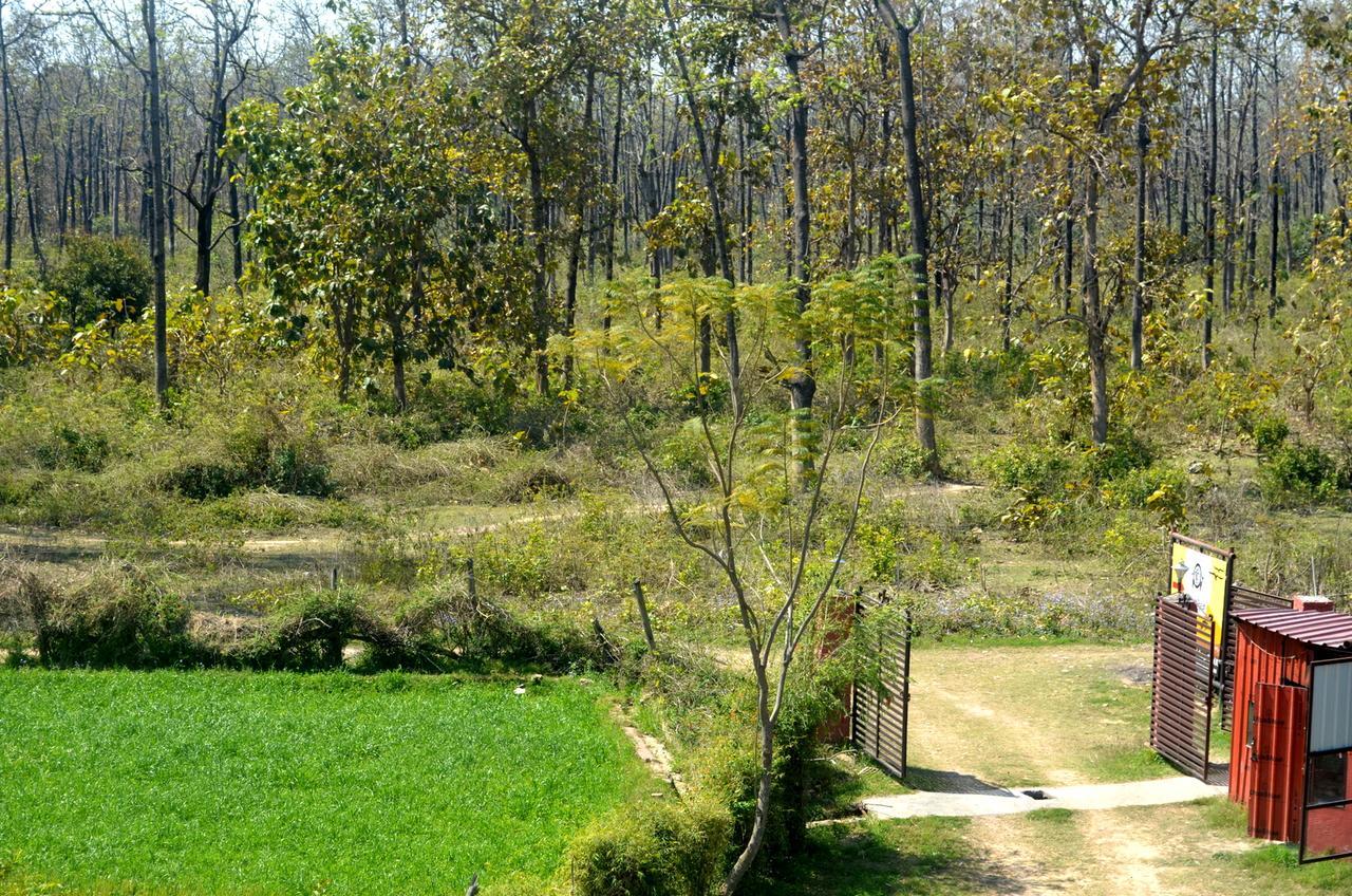 Corbett Treat Resort Ramnagar (Uttarakhand) Exterior foto